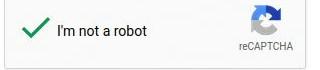 Solved: a green checkmark on I'm not a robot